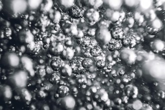 Underwater bubbles Abstract background .Air bubbles in water background