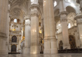 Nave of Granada Cathedral, Andalusia, Spain Granada, Spain, Europe