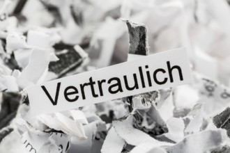 Paper shreds with the keyword Confidential, symbolic photo for data destruction and confidentiality