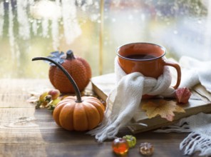 An orange mug in a scarf with hot tea, pumpkins, yellow dry maple leaves, a book on the windowsill,