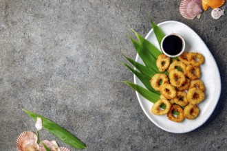Food, Food, Fried squids rings on white plate decorated with tropical leaves, gray concrete