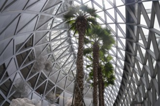 31.07.2023, Singapore, Republic of Singapore, Asia, Interior view of the modern Jewel Terminal with