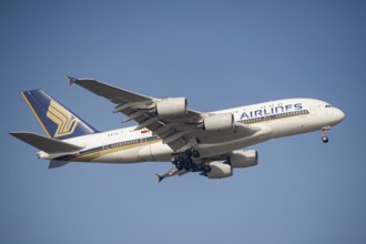 26.07.2023, Singapore, Republic of Singapore, Asia, A Singapore Airlines Airbus A380-800 passenger
