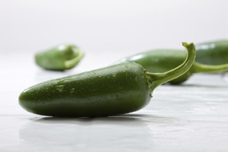 Chilli