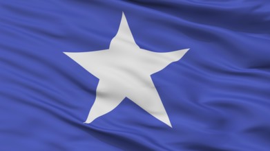 Tribes Fiji Flag, Closeup View