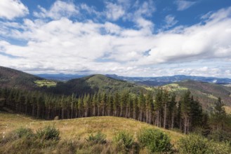 Vizcaya forest and mountain landscape, Basque country, Spain, Europe