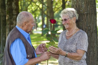 Elderly senior couple is in love. Man hands over a rose. Austria