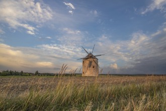 Windmill with wooden sails in a landscape with fields. Meadows and flowers appear in the sunset.