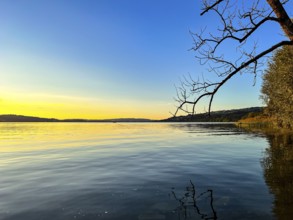 Calm lake at sunset with bare branches in the foreground and a wide horizon, Sempach, Lucerne,