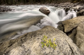 Sunwapta Waterfall Alberta Canada blurred water fall