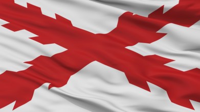 Cross Of Burgundy Flag, Closeup View