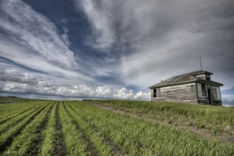 Abandoned Farm with storm clouds in the Canadian Prairie