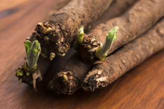 Black salsify vegetables on wood