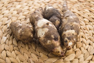Jerusalem artichoke, lodz, poland