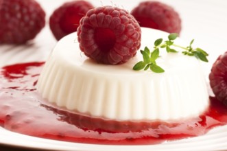 Vanilla panna cotta with berry sauce, lodz, poland