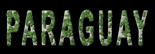 Paraguay Reforestation and Climate Message, Sustainable Green Typography, Green Agenda