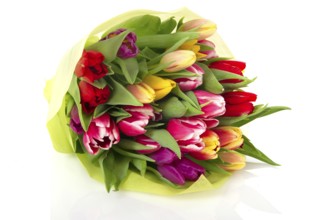 Wrapped colorful bouquet tulips on white background