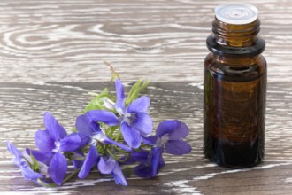Dropper bottle with Bach flower essence on wooden background with blossoms Dropper bottle of bach