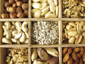 Nuts in a wooden box