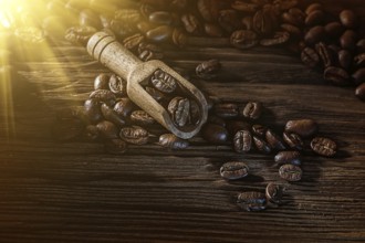 Coffee beans in scoop on vintage wooden board