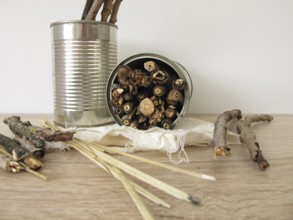 Homemade insect hotel made from tins, sticks and straw