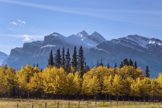 The first snow has already fallen on the peaks. The yellow foliage of birches and aspens is mixed