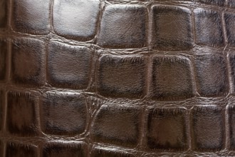 Crocodile or alligator skins brown background