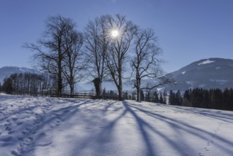 Winter landscape, Pinzgau, Pestberg, plague, memorial site