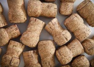 Dated wine bottle corks on the wooden background. Close up