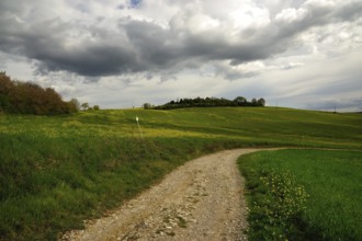 Beautiful grey clouds on a canola field in Tuscany