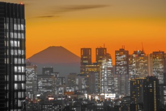 City and Mount Fuji which is visible from the Bunkyo Civic Center. Shooting Location: Tokyo