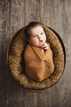 Baby boy in a brown wrap is yawning at a newborn photo shoot.