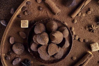 Healthy delicious chocolate truffles around ingridients with natural cocoa beans, powder, cacao