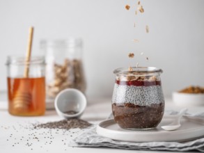Healthy breakfast concept and idea- chia pudding with organic raw cocoa, berries jam and oatmeal