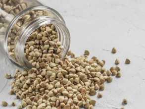 Raw green buckwheat in bank on gray background