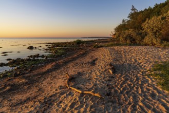 Evening on the beach in Hohen Wieschendorf, Mecklenburg-Western Pomerania, Germany, Europe