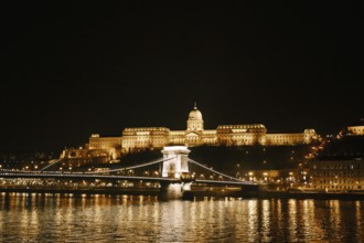 Panorama of the city with the ensemble of the Royal Palace in Budapest at night with illumination.