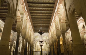 Prayer hall of the Mezquita Cathedral, Cordoba, Andalusia, Spain Cordoba, Spain, Europe