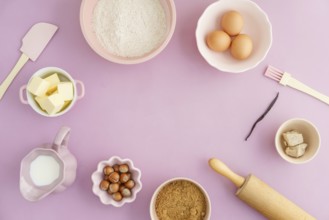 Collection of ingredients and for baking with text space on a pink background