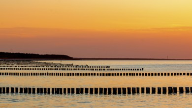 Zingst
