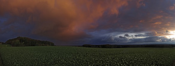 Panorama of storm clouds in the sunset