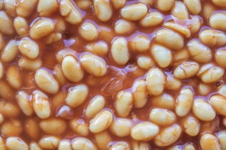Abstract Background Texture Of Baked Beans In Tomato Sauce