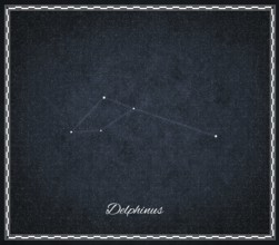 Delphinus star constellation, Night sky, Cluster of stars, Deep space, Dolphin constellation