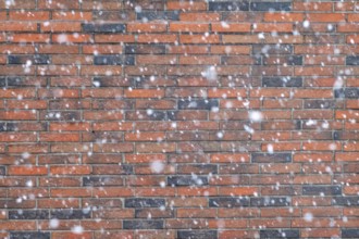 Snowflakes in front of a brick wall