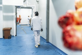 Full length photo of some people working in the cold room storage of a meat factory