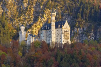 Detailed view of a fairytale castle, surrounded by colourful autumnal trees, Neuschwanstein,