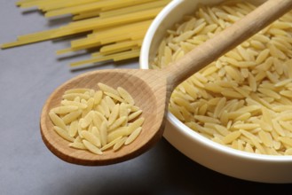Semi di Orzo, Italian pasta in the form of barley grains, and spaghetti, pasta from Italy