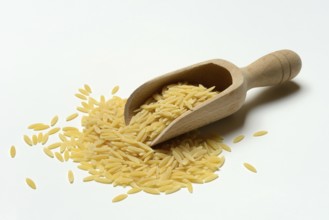 Semi di Orzo, Italian pasta variety in the form of barley grains, pasta from Italy