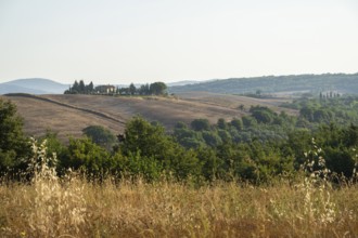 Typical Tuscan landscape in Val d'Orcia with hills, trees, fields, farmhouses and cypresses in