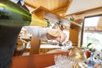 A waiter pours white wine into a glass, wooden decor in the background, Europäischer Hof,